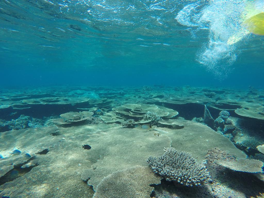 Holiday Haven Ukulhas Экстерьер фото